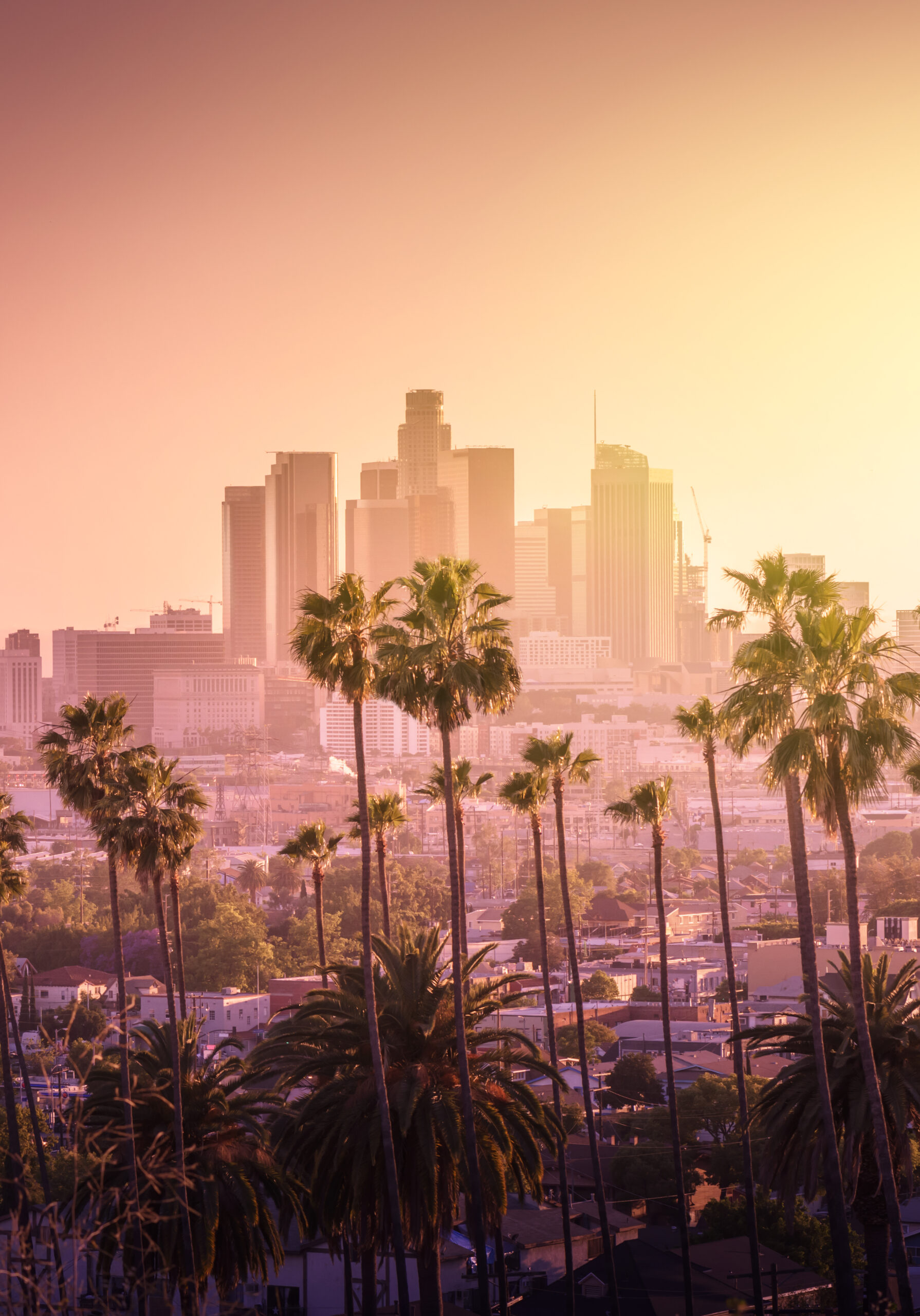Santa Monica e Los Angeles